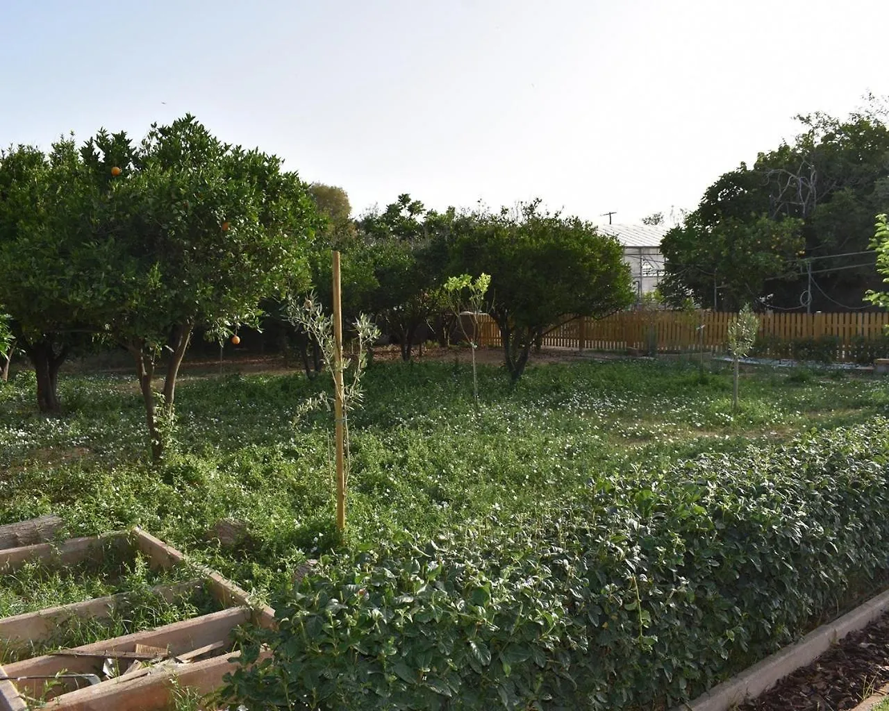 Agrokipos Tiny Cottage Rethymno  Apartment